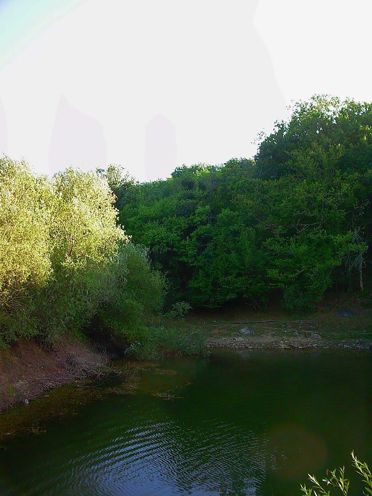 Научний з panoramio.com - Научний