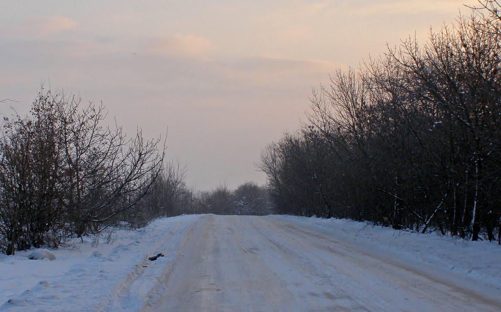 Великодолинське з panoramio.com - Velykodolynske