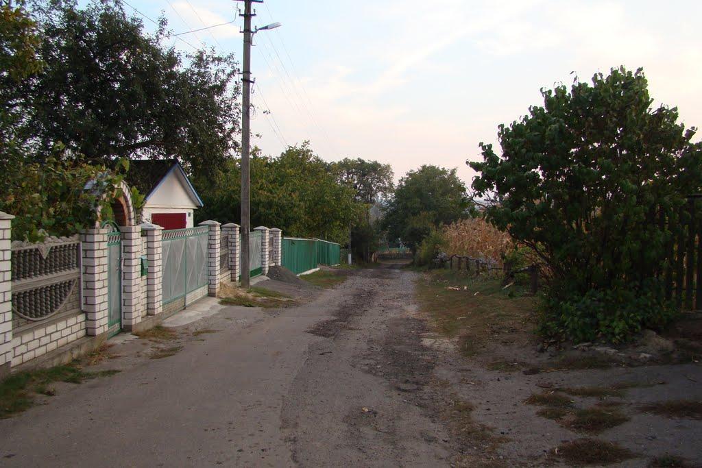 Косарі з panoramio.com (ч.2) - Косари