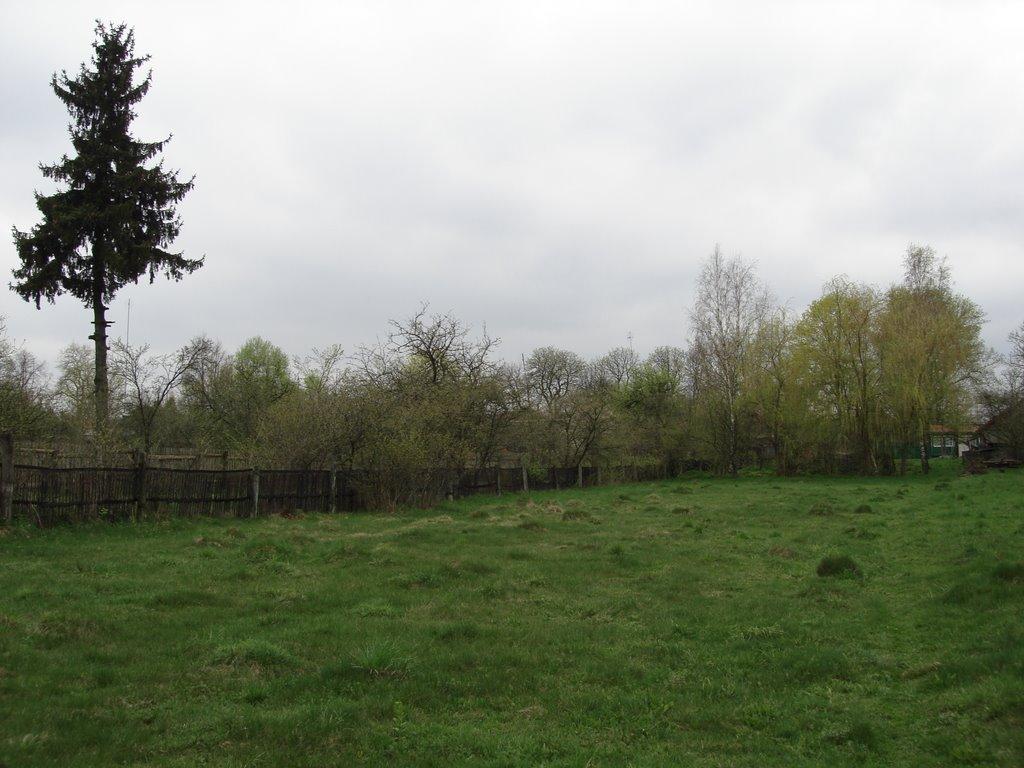 Добрянка з panoramio.com - Добрянка