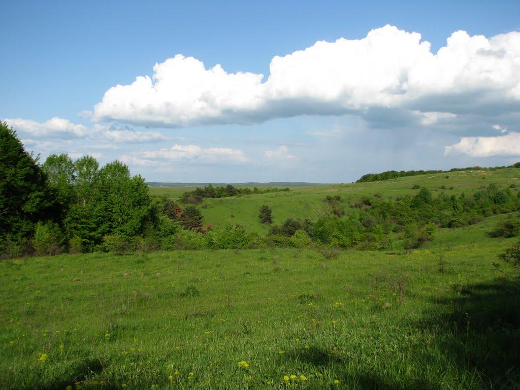 Буківка з panoramio.com - Буківка