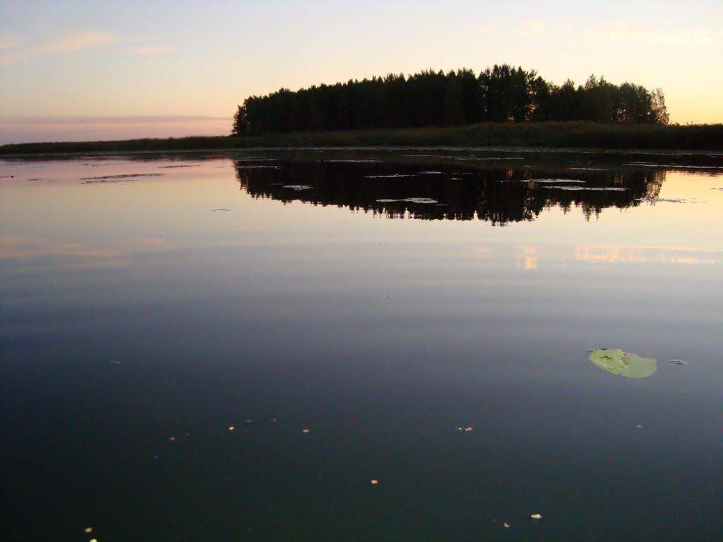 Сорокошичі з panoramio.com - Сорокошичі