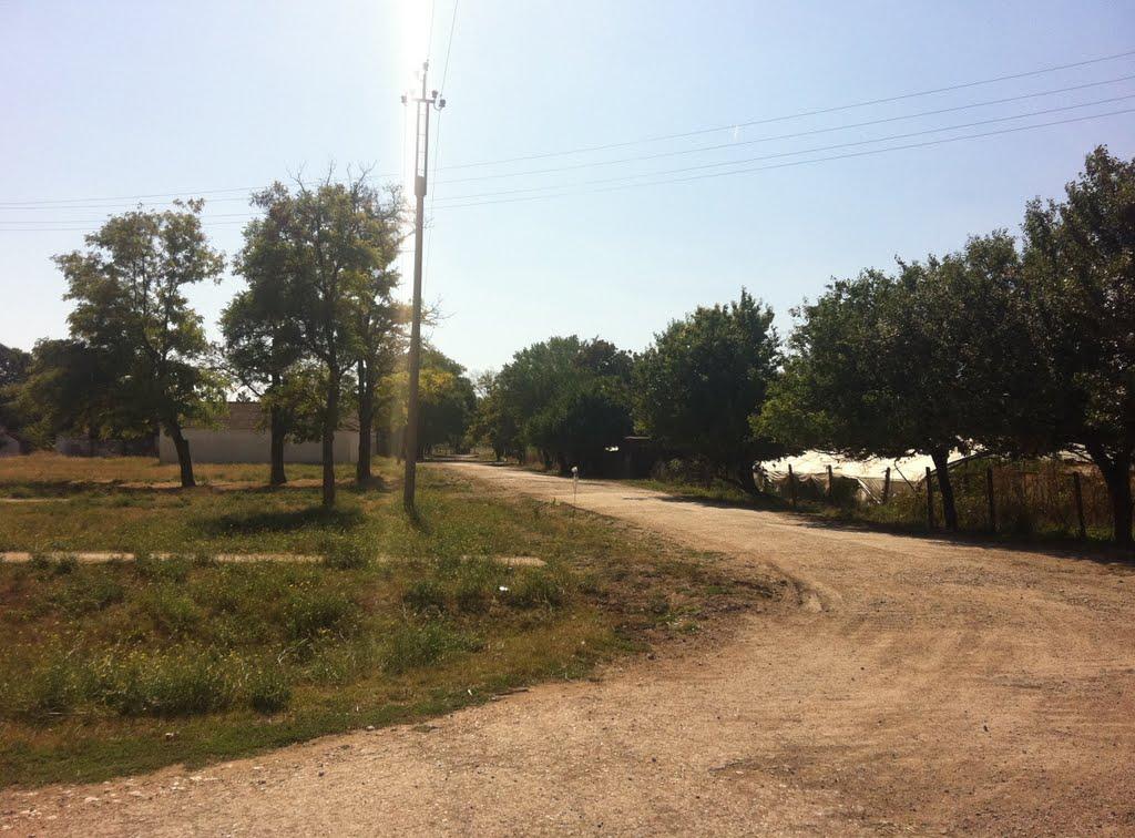 Дрофине з panoramio.com - Дрофине