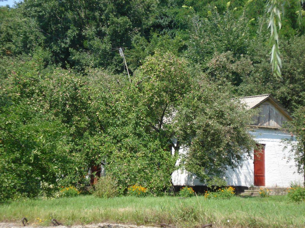 Вереміївка з panoramio.com - Веремиевка