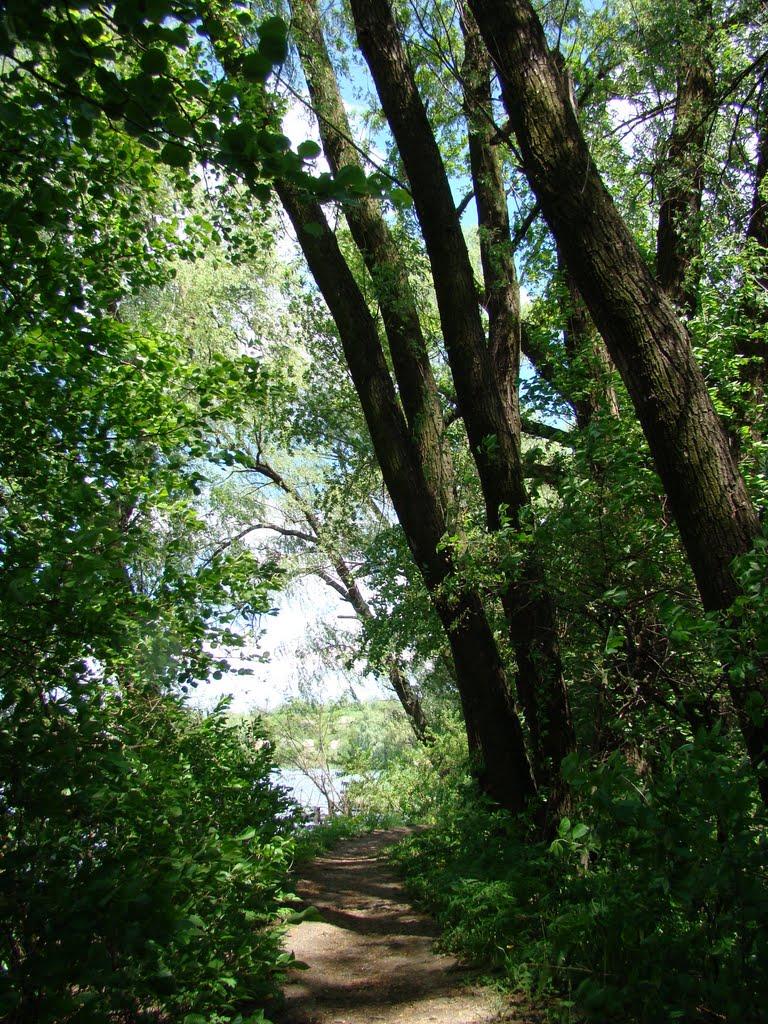 Косарі з panoramio.com (ч.2) - Косари