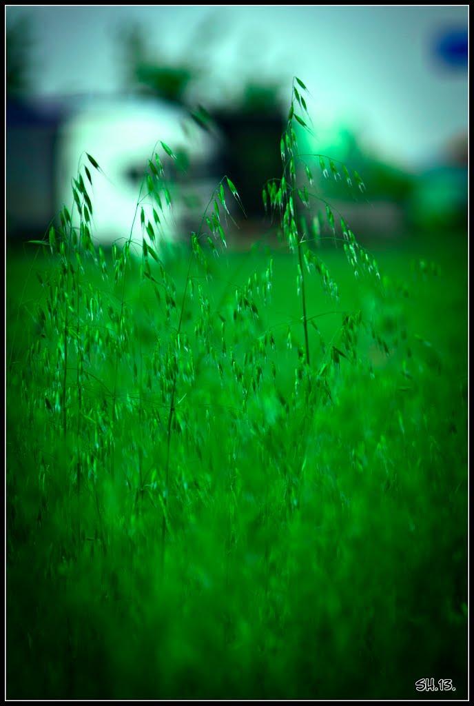 Бармаки з panoramio.com - Бармаки