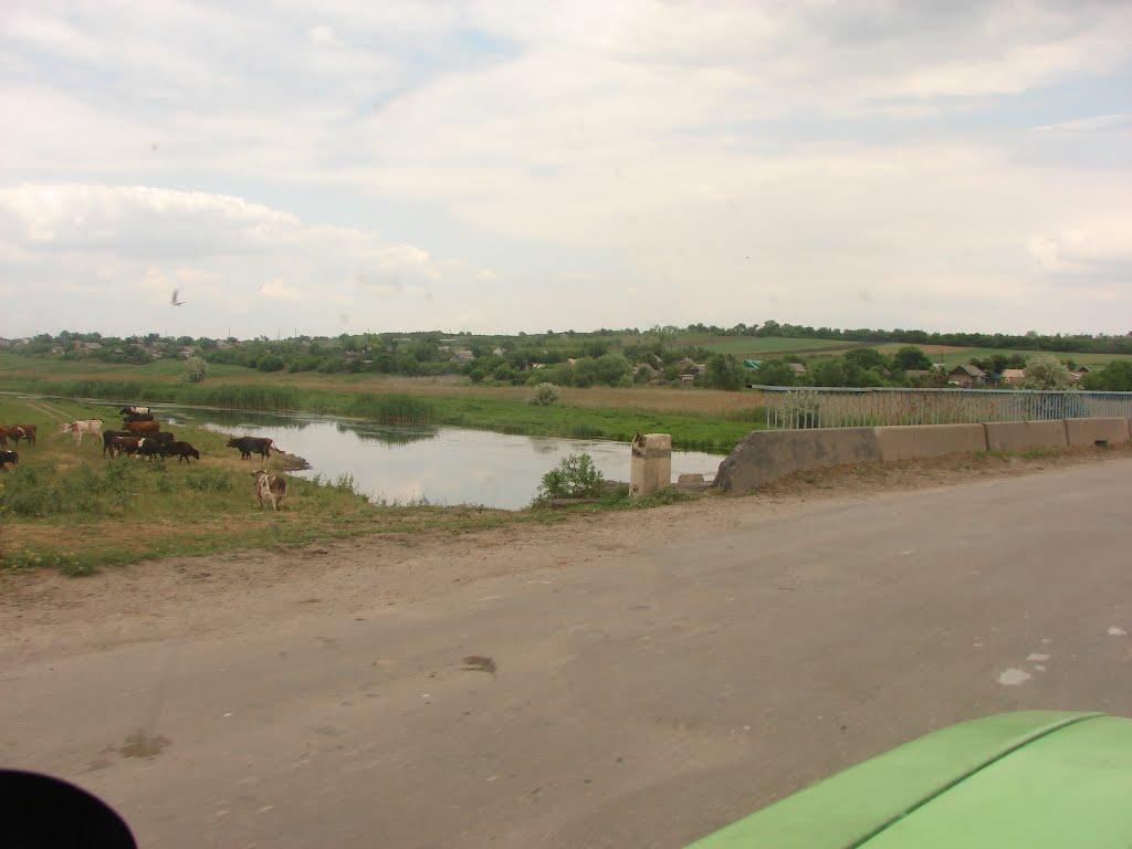 Артемівка з panoramio.com - Артемівка