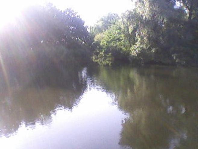 Петровського з panoramio.com - Петровського