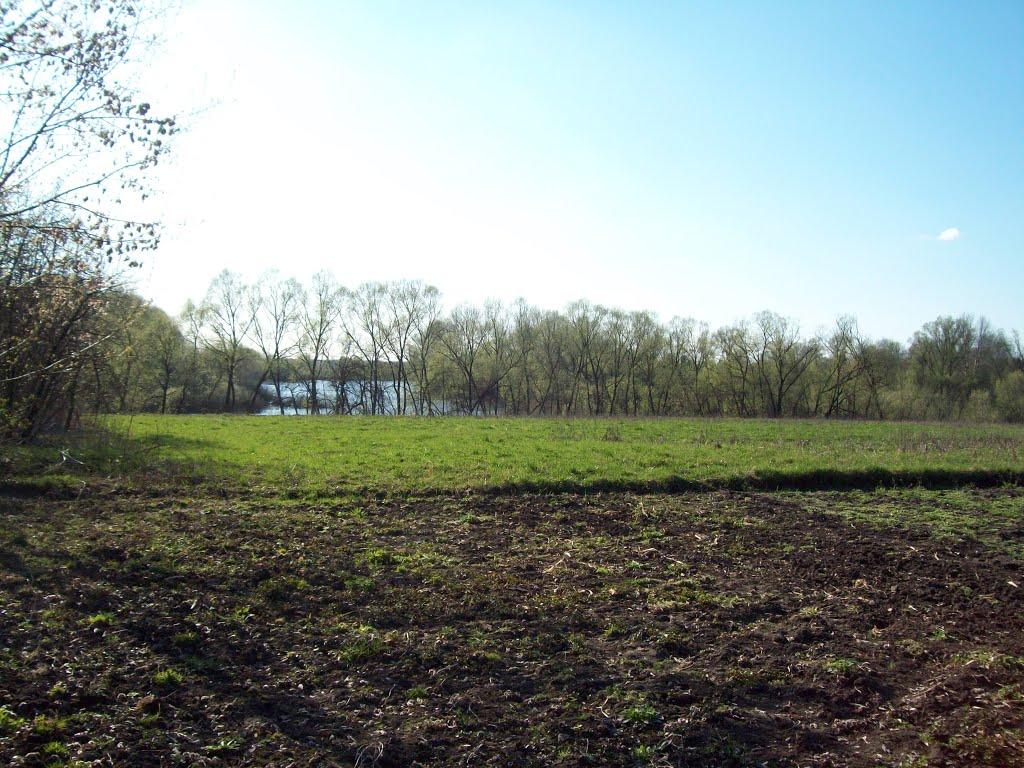 Бережівка з panoramio.com - Бережівка