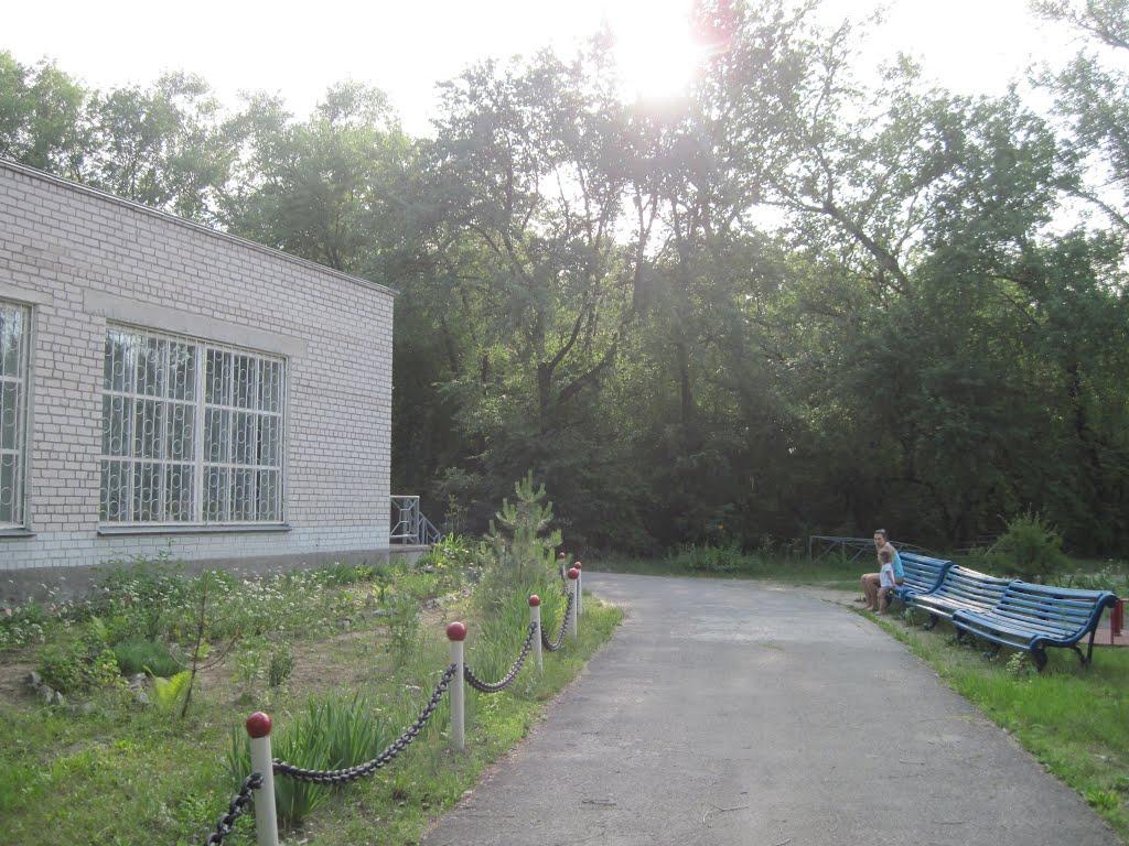 Кияшки з panoramio.com - Кияшки