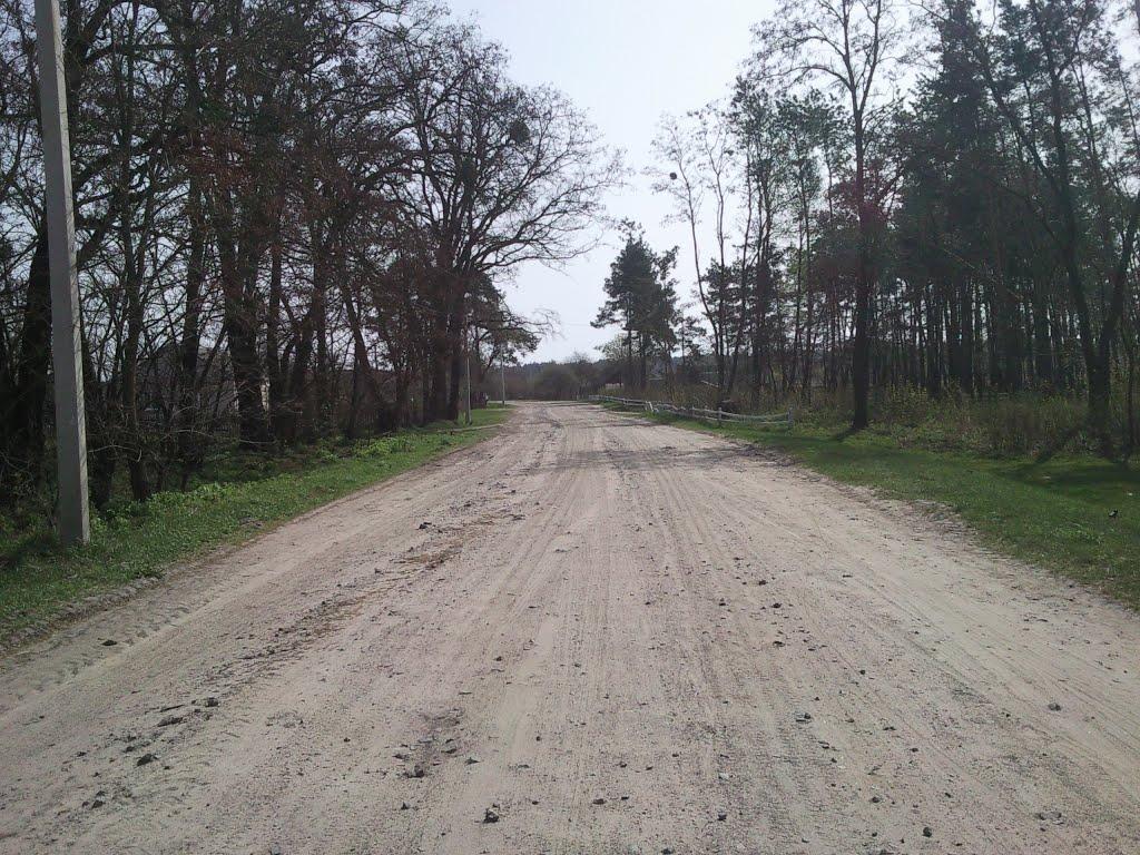 Муравище з panoramio.com - Муравище