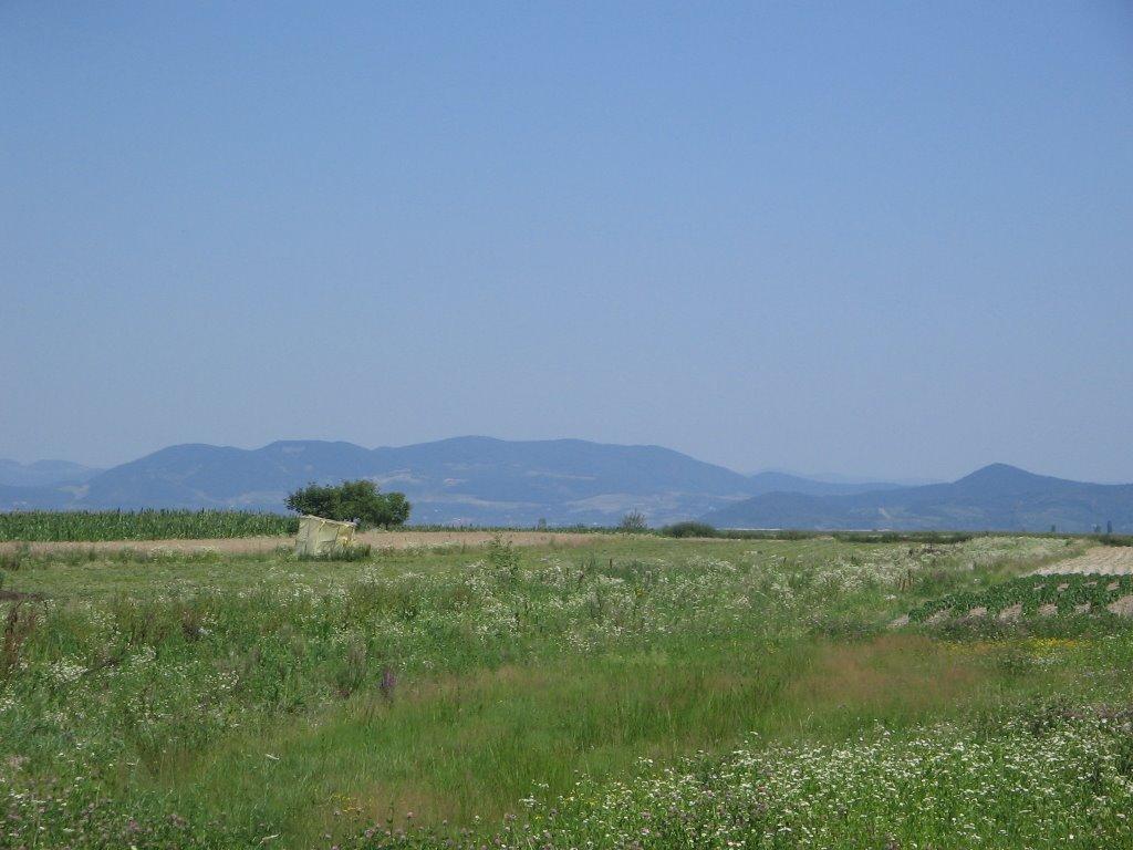 Оклі з panoramio.com - Оклі