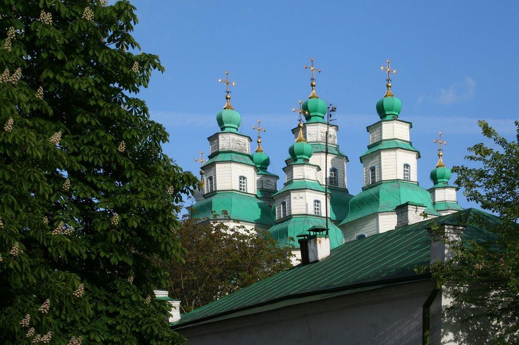 Новомосковськ з panoramio.com (ч.3) - Новомосковск