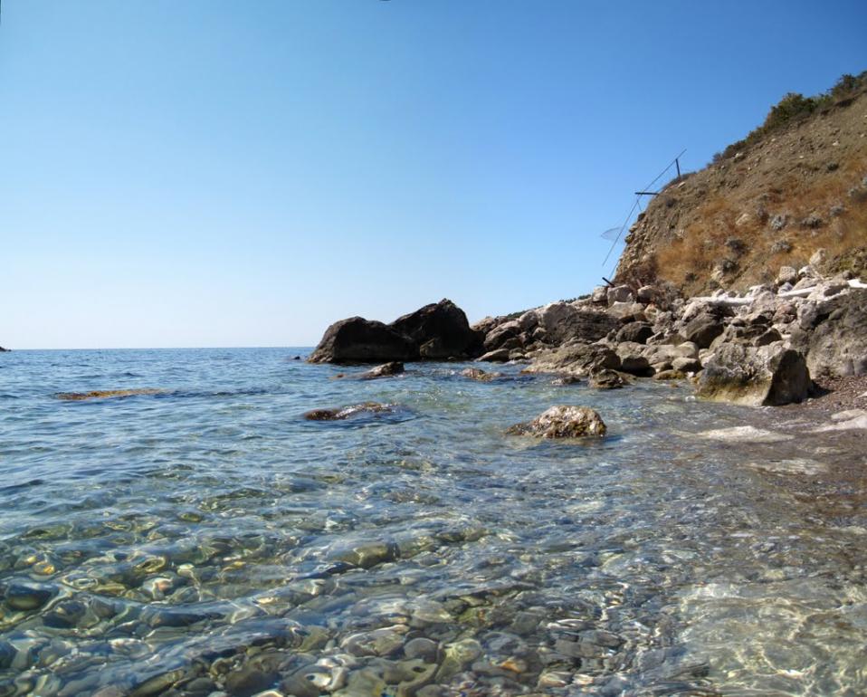 Олива з panoramio.com - Олива