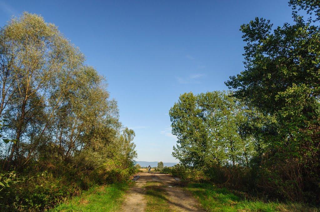 Розівка з panoramio.com (ч.2) - Розівка