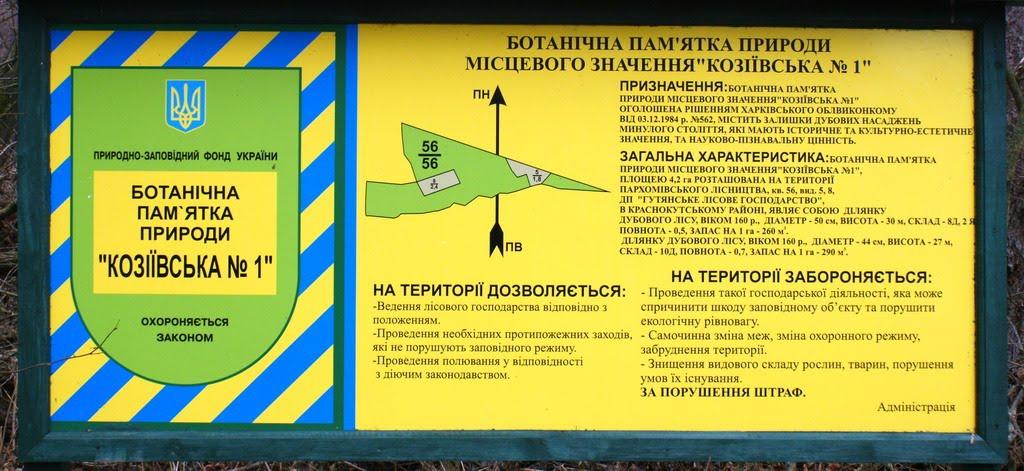 Степанівка з panoramio.com - Степановка