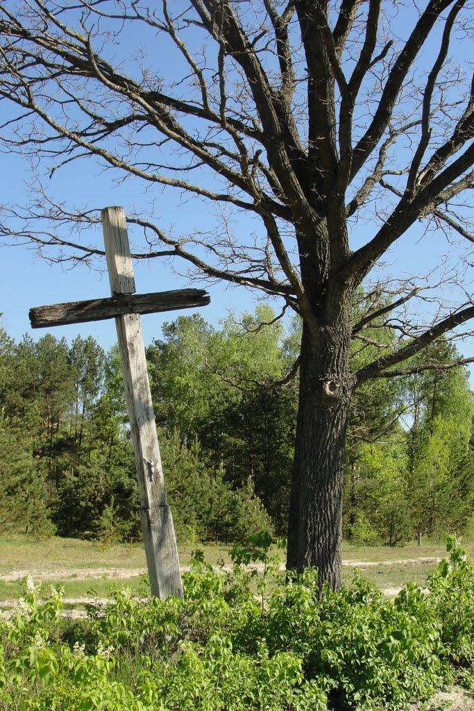 Гайове з panoramio.com - Гайове