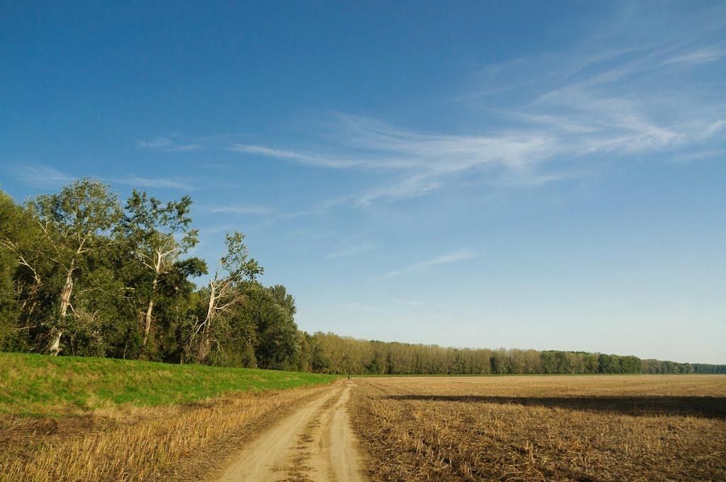 Розівка з panoramio.com (ч.2) - Розівка