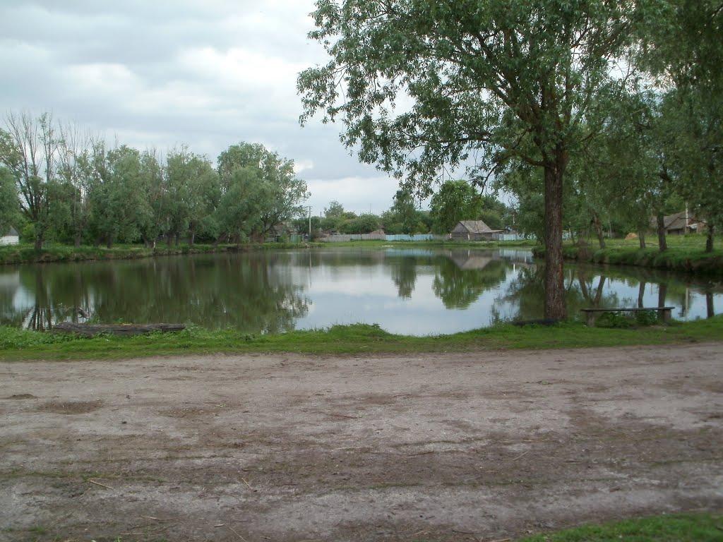 Чисті Лужі з panoramio.com - Чисті Лужі