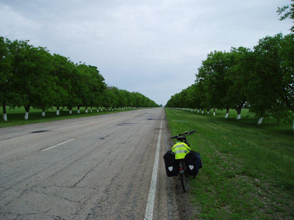 Гребеники з panoramio.com - Гребеники