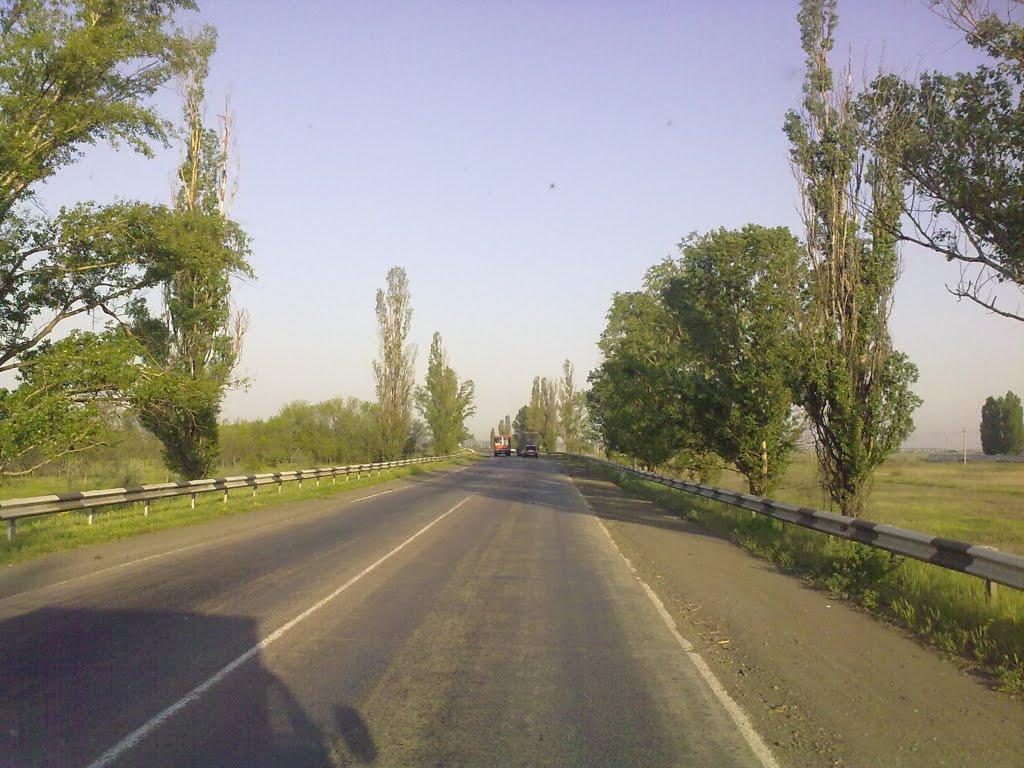 Миколаївка з panoramio.com - Николаевка