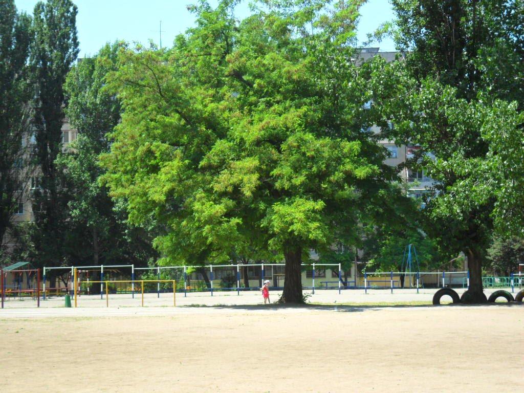 Корсунці з panoramio.com - Корсунцы