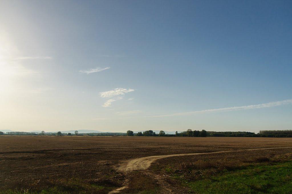 Розівка з panoramio.com (ч.2) - Розівка