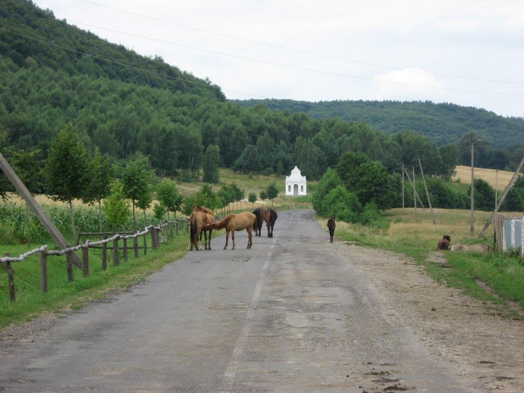 Козулька з panoramio.com - Козулька