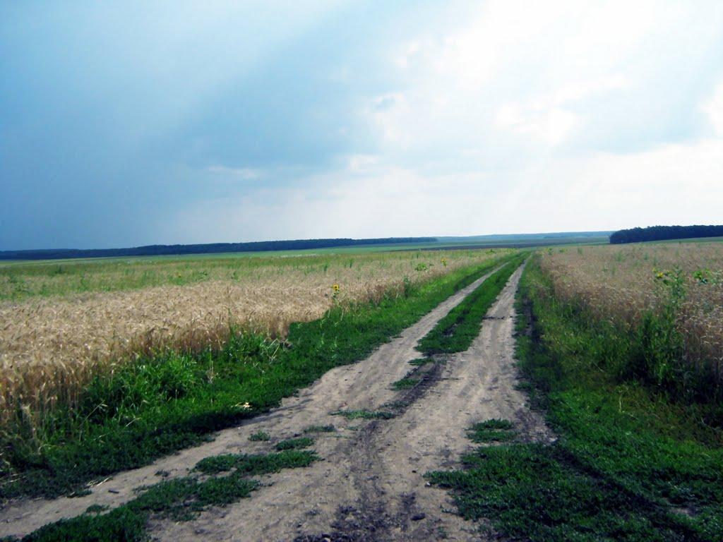 Воздвижівка з panoramio.com - Воздвижівка