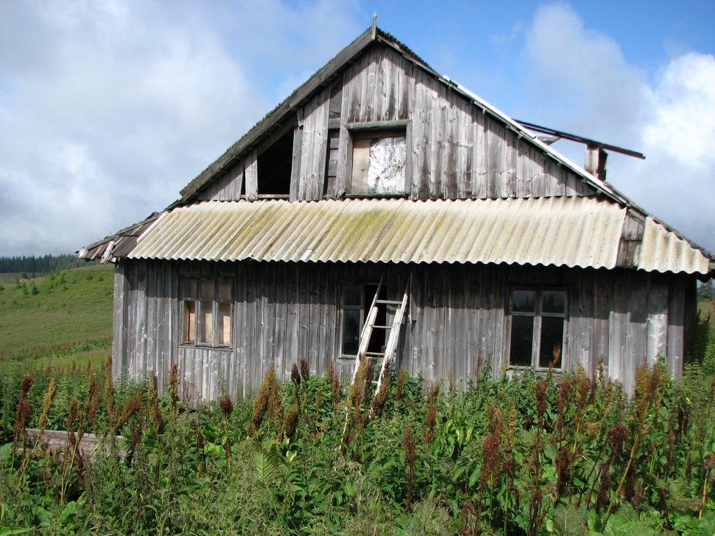 Буркут з panoramio.com - Буркут