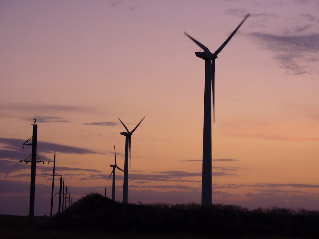 Криловка з panoramio.com - Криловка