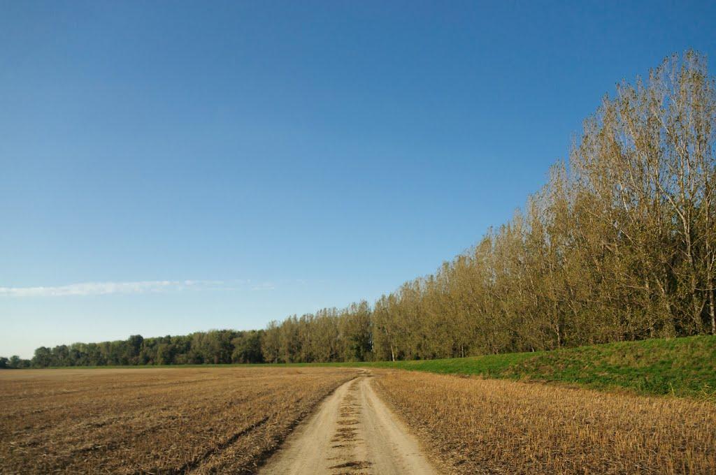 Розівка з panoramio.com (ч.2) - Розівка