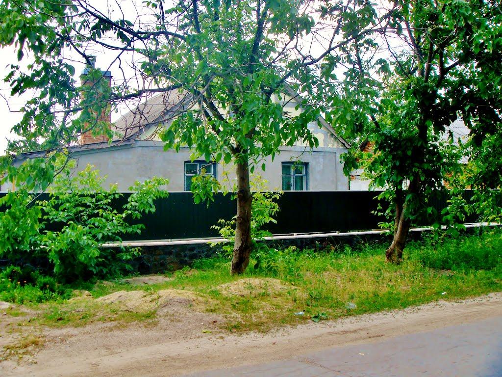 Гудзівка з panoramio.com - Gudzivka