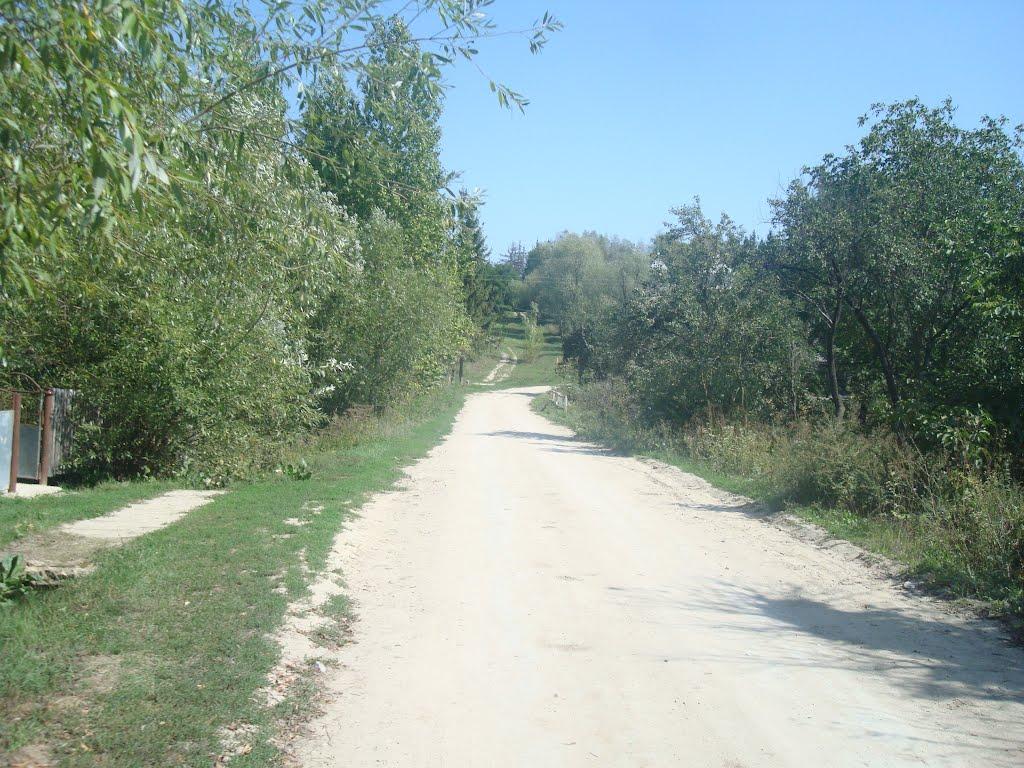 Ставчани з panoramio.com - Ставчаны