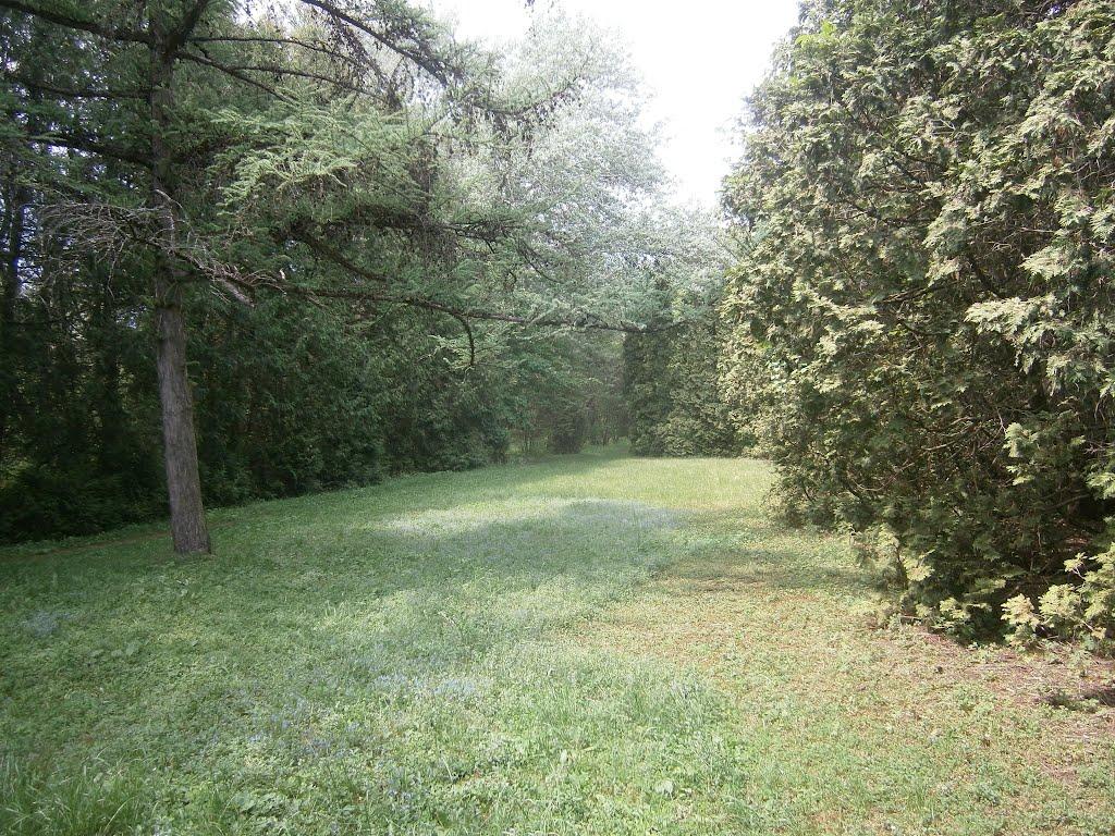 Бабичівка з panoramio.com - Бабичівка