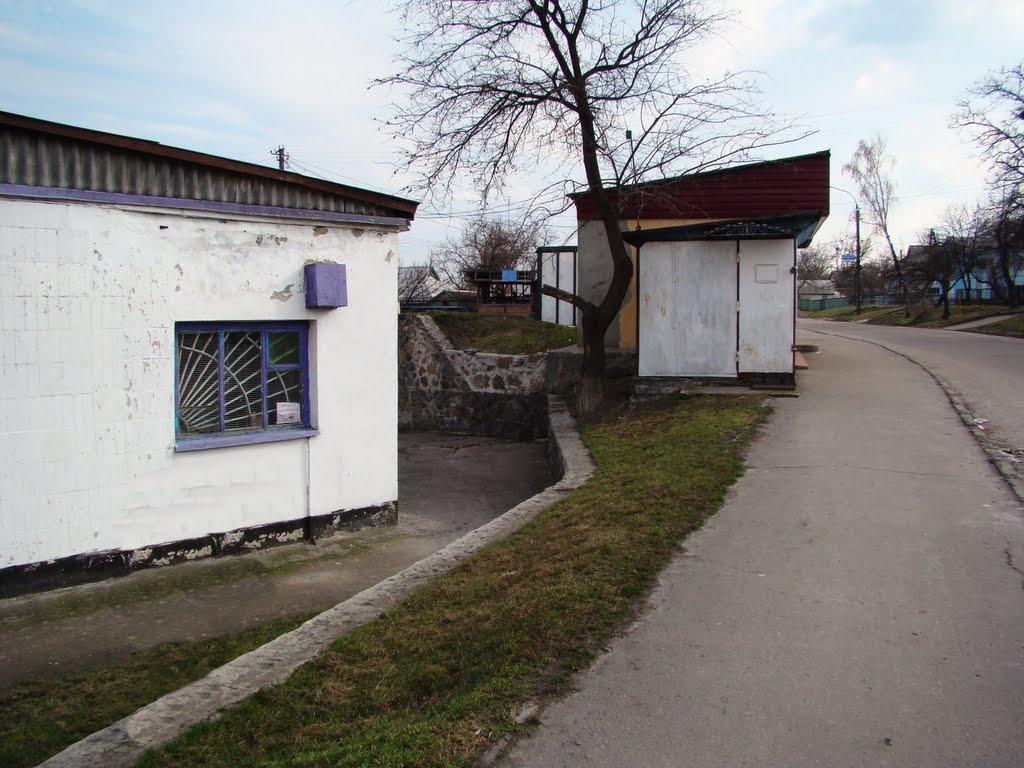 Косарі з panoramio.com (ч.2) - Косари