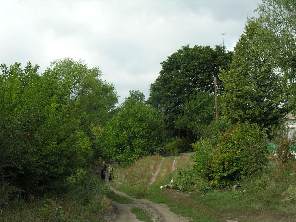 Олександрія з panoramio.com - Александрия