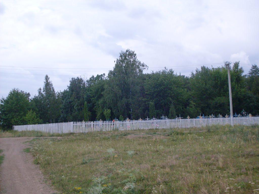 Бубнівка з panoramio.com - Бубнівка