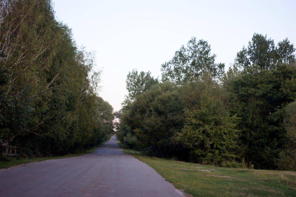 Федорівка з panoramio.com - Федорівка