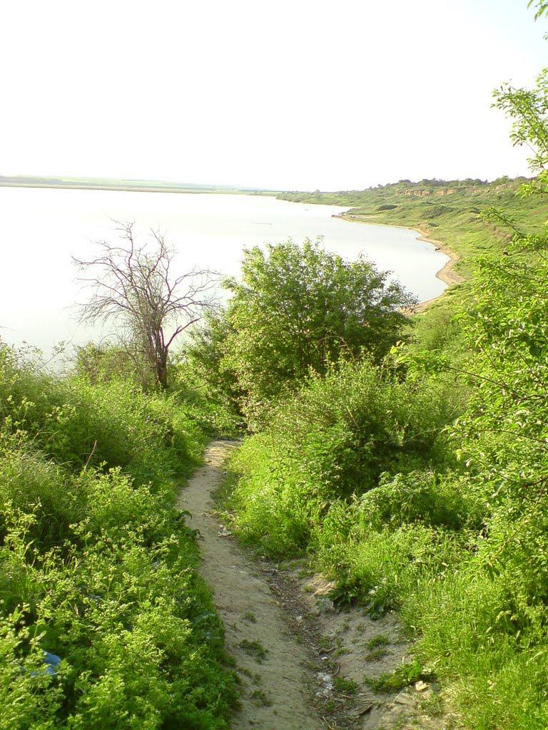 Суворове з panoramio.com - Суворово