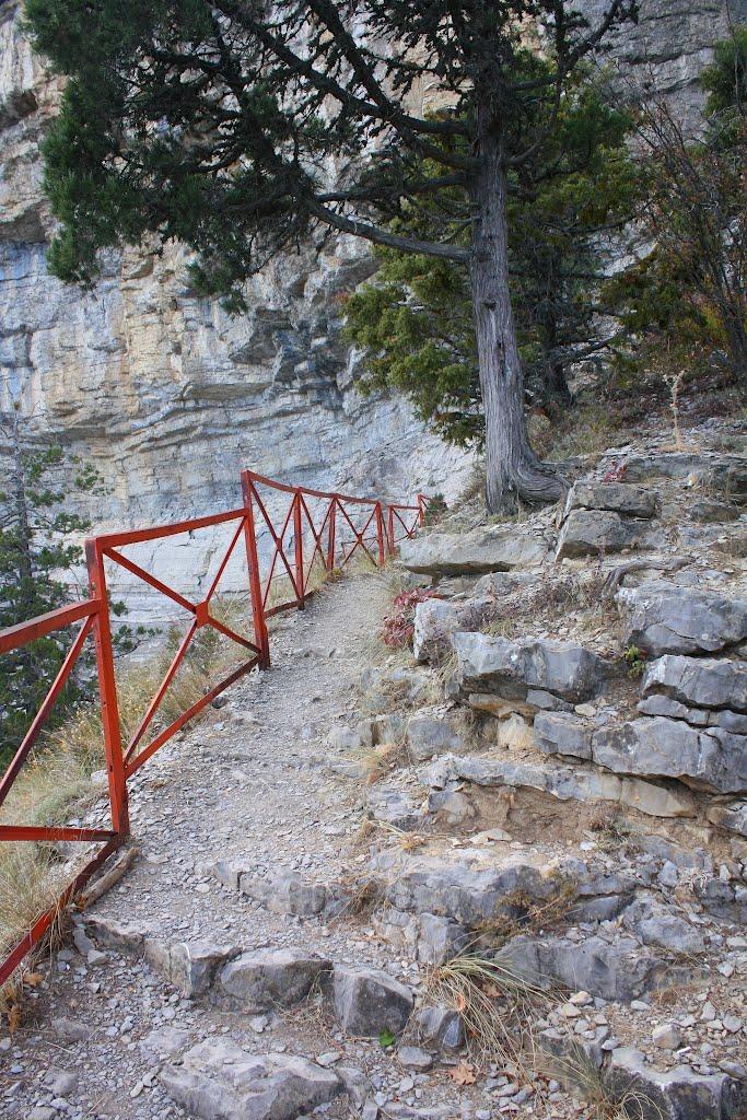 Виноградне з panoramio.com - Виноградное