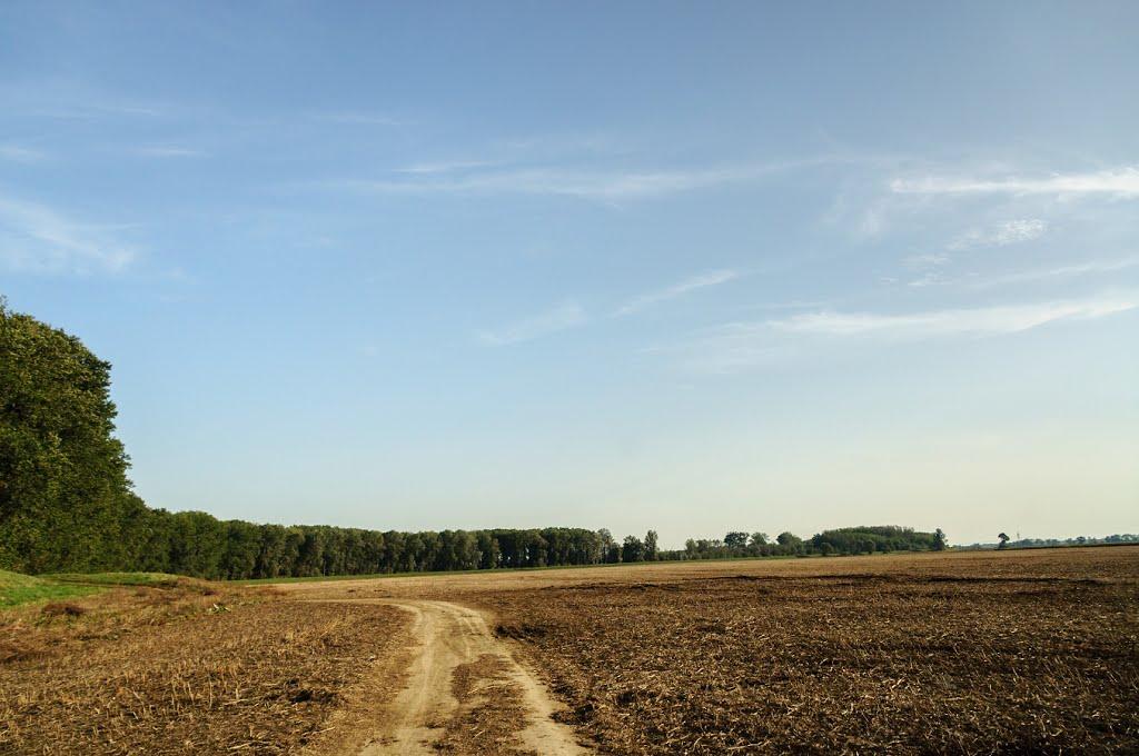 Розівка з panoramio.com (ч.2) - Розівка