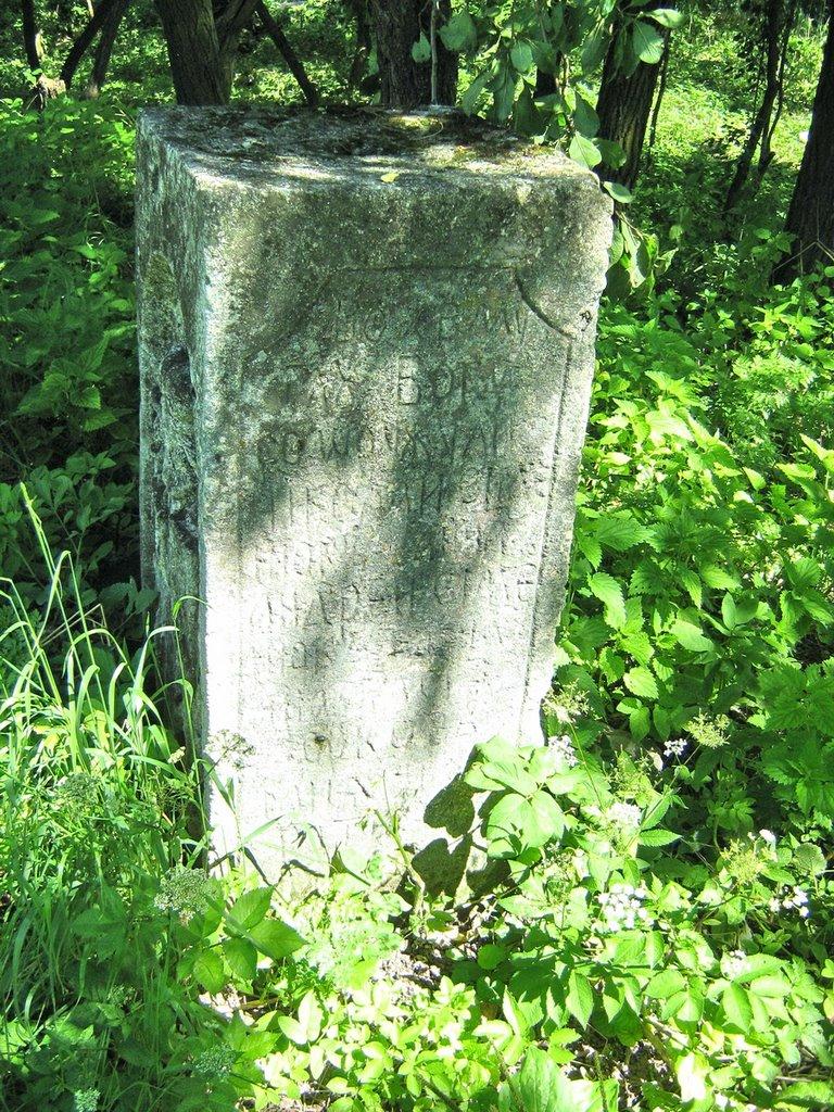 Олесько з panoramio.com - Олесько