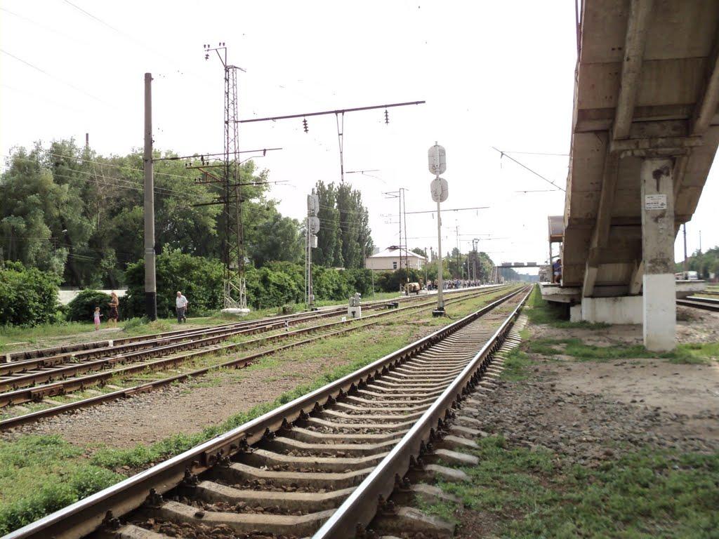 Вишневе з panoramio.com - Вишневое