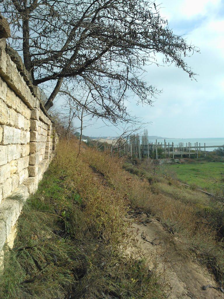 Крижанівка з panoramio.com - Kryzhanivka