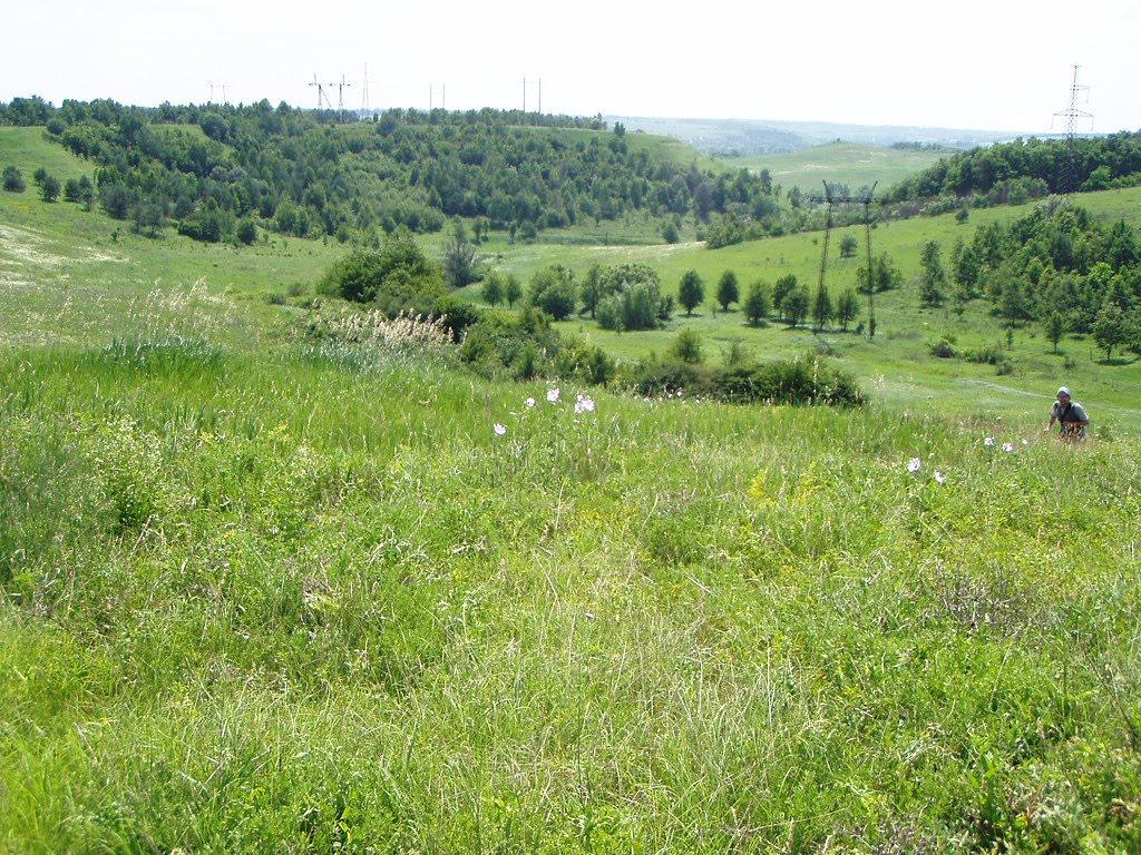 Копачів з panoramio.com - Копачов