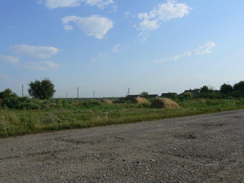 Новгород з panoramio.com - Новгород