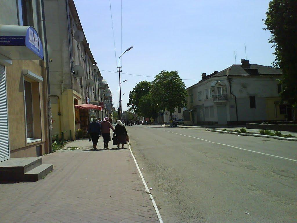 Кам'янка-Бузька з panoramio.com - Каменка-Бугская