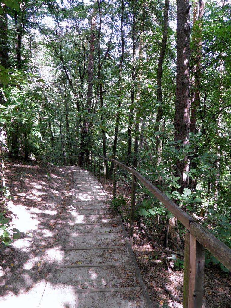 Коропове з panoramio.com - Коропове