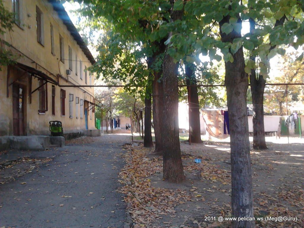 Миколаївка з panoramio.com (ч.2) - Николаевка